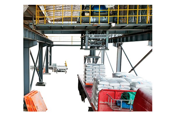 托盤(pán)全自動(dòng)裝車(chē)機(jī)